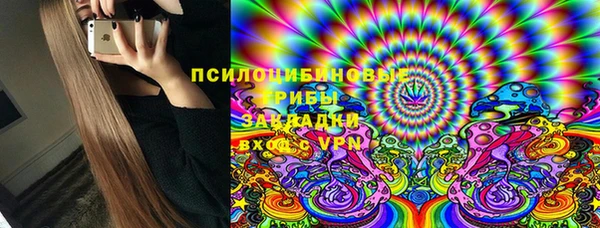марки nbome Белокуриха