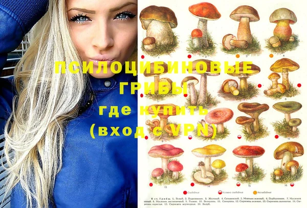 молекула духа Белоозёрский