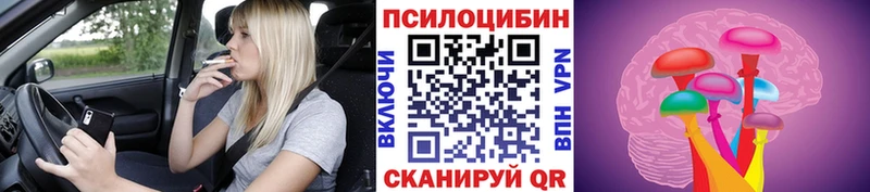 Галлюциногенные грибы Psilocybe  наркота  Ясногорск 