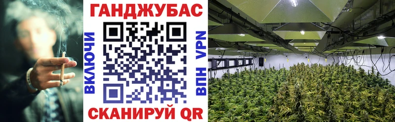 Бошки марихуана SATIVA & INDICA  нарко площадка какой сайт  Ясногорск 